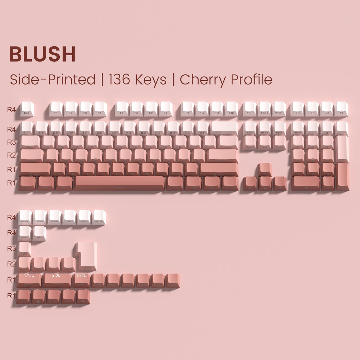Womier Gradient Series 136 - Key Shine - Through Cherry Profile Double - Shot PBT Keycap - Womier Keyboard