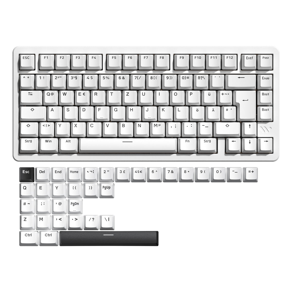 Womier SK75 75% VIA Support Wireless Aluminum Custom Keyboard (ANSI/ISO) - Womier Keyboard