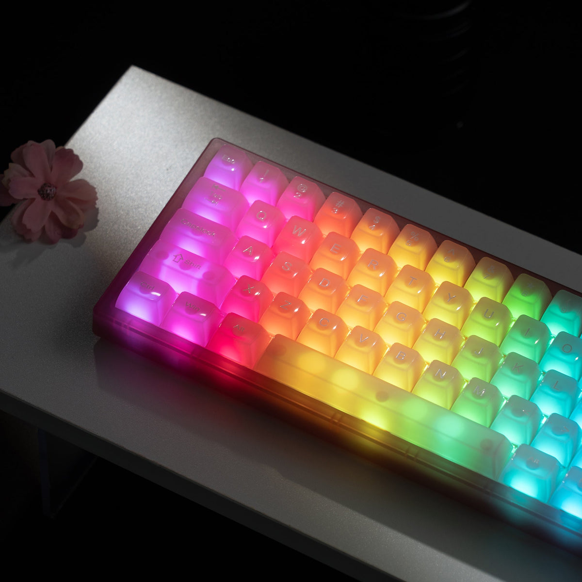 Womier VK66 Pro VIA Support 66 - Key Gasket Mechanical Keyboard with Knob - Womier Keyboard