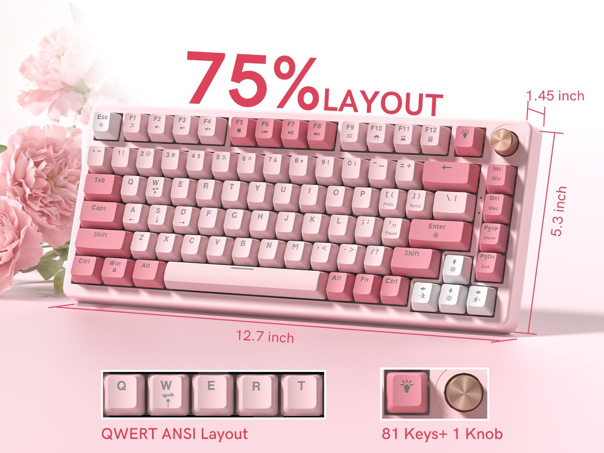 Womier VK75 75% Wired Gasket Mechanical Keyboard - Womier Keyboard