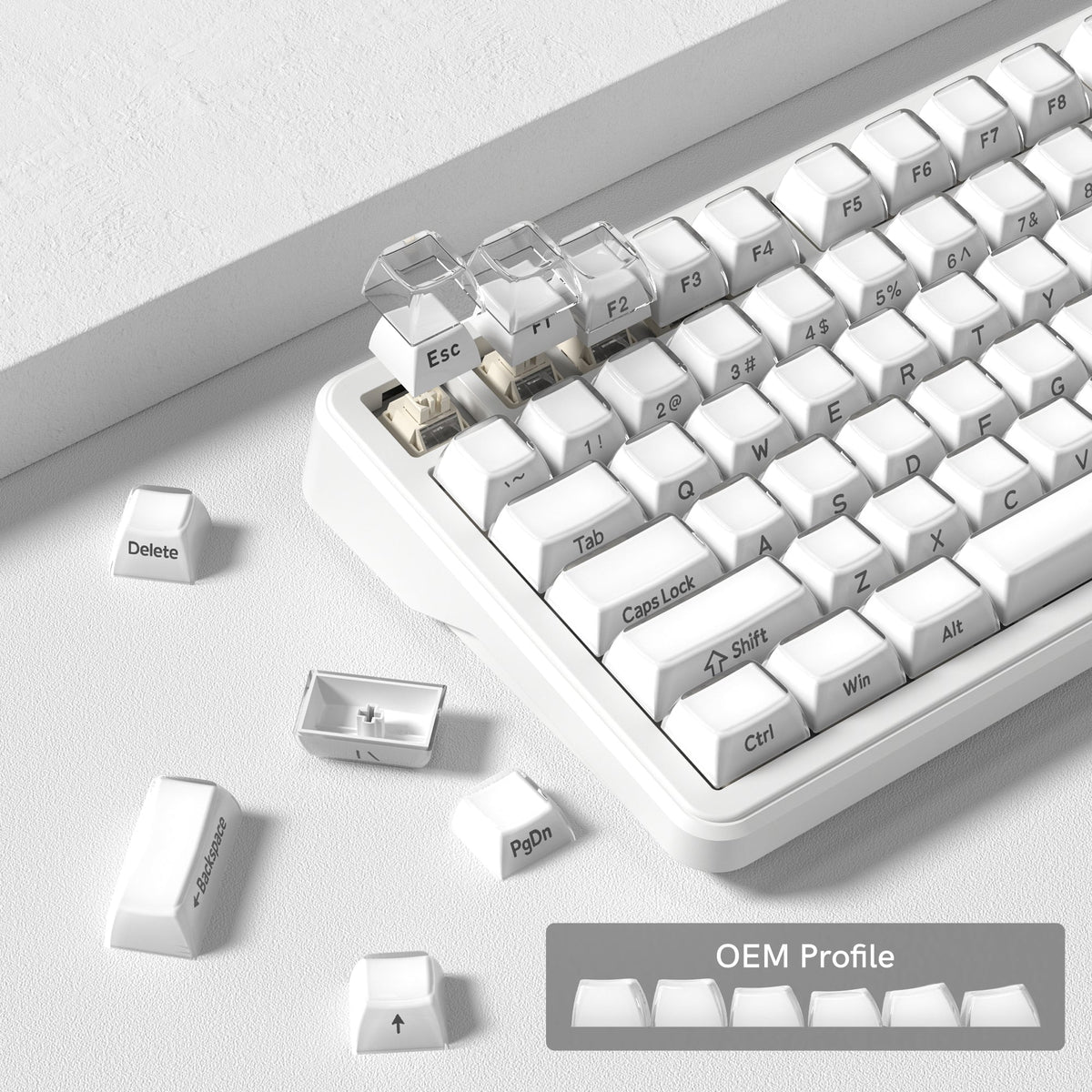Womier L75 75% Wireless RGB Gasket Mounted Mechanical Keyboard with Knob - Womier Keyboard